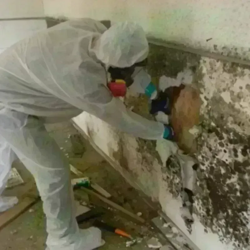 Mold Remediation and Removal in Guernsey, WY