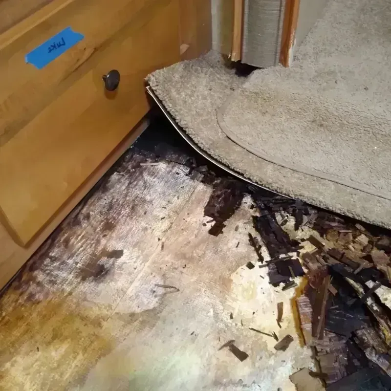 Wood Floor Water Damage in Guernsey, WY